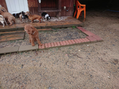 f:id:roukenhome-ann:20190823184349j:plain