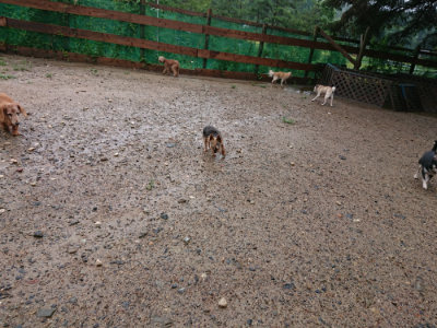 f:id:roukenhome-ann:20190823184401j:plain