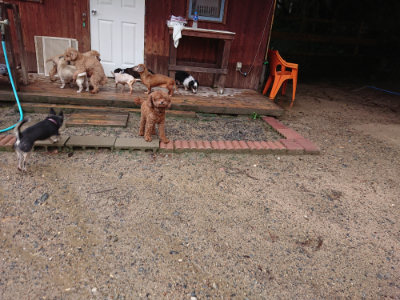 f:id:roukenhome-ann:20190823184408j:plain