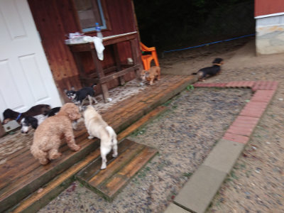 f:id:roukenhome-ann:20190823184457j:plain