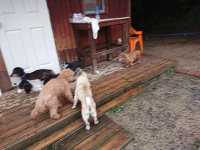 f:id:roukenhome-ann:20190823184510j:plain
