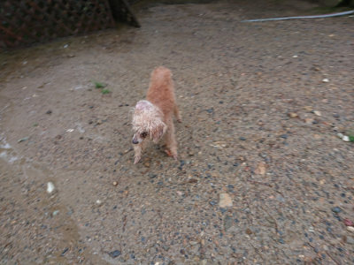 f:id:roukenhome-ann:20190823184552j:plain