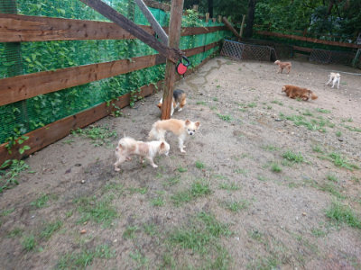 f:id:roukenhome-ann:20190823184613j:plain