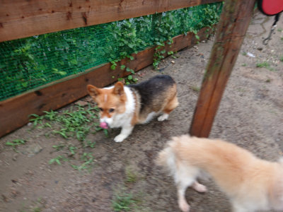 f:id:roukenhome-ann:20190823184626j:plain