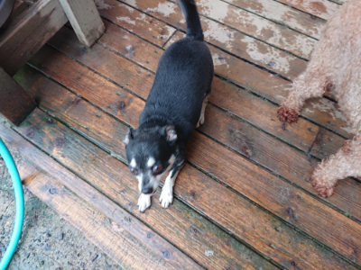 f:id:roukenhome-ann:20190823184706j:plain