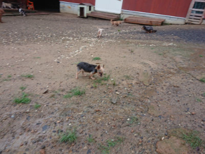 f:id:roukenhome-ann:20190823184723j:plain