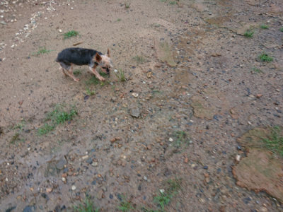 f:id:roukenhome-ann:20190823184748j:plain
