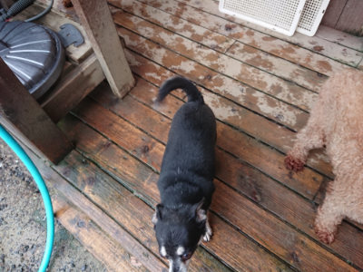 f:id:roukenhome-ann:20190823184754j:plain