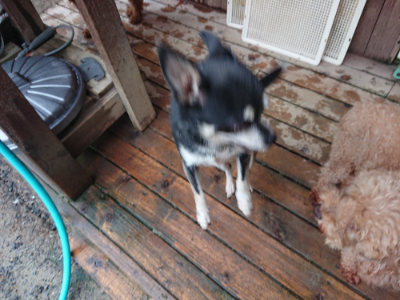 f:id:roukenhome-ann:20190823184801j:plain