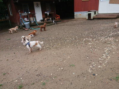 f:id:roukenhome-ann:20190823184814j:plain