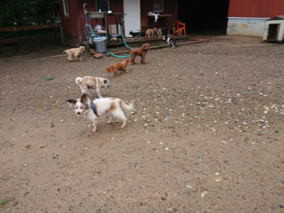 f:id:roukenhome-ann:20190823184820j:plain