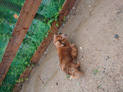 f:id:roukenhome-ann:20190823184840j:plain