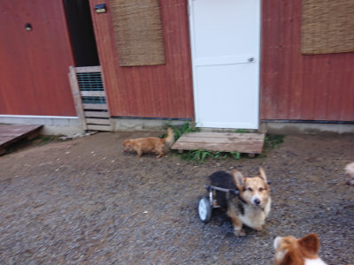 f:id:roukenhome-ann:20190824115338j:plain