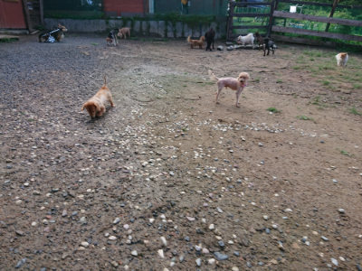 f:id:roukenhome-ann:20190824115357j:plain