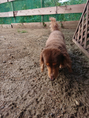 f:id:roukenhome-ann:20190824115408j:plain