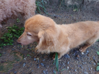 f:id:roukenhome-ann:20190824115418j:plain