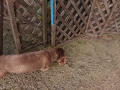 f:id:roukenhome-ann:20190824115425j:plain