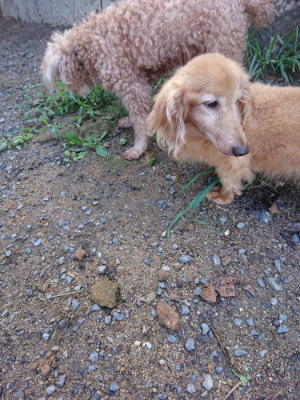 f:id:roukenhome-ann:20190824115432j:plain
