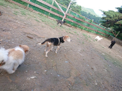 f:id:roukenhome-ann:20190824115509j:plain