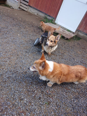 f:id:roukenhome-ann:20190824115515j:plain