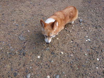 f:id:roukenhome-ann:20190824115533j:plain