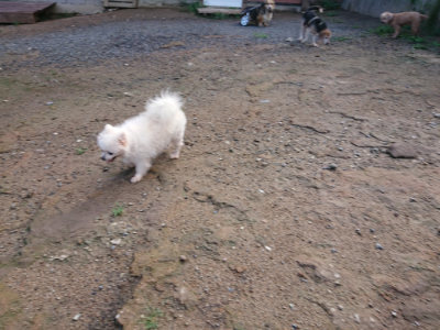 f:id:roukenhome-ann:20190824120036j:plain