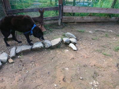 f:id:roukenhome-ann:20190824120048j:plain
