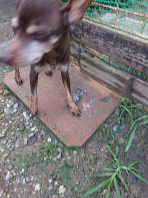 f:id:roukenhome-ann:20190824120054j:plain