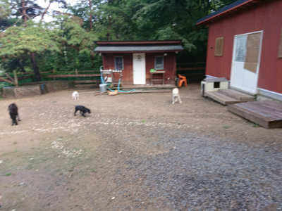 f:id:roukenhome-ann:20190824120114j:plain