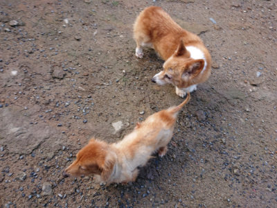 f:id:roukenhome-ann:20190824120120j:plain