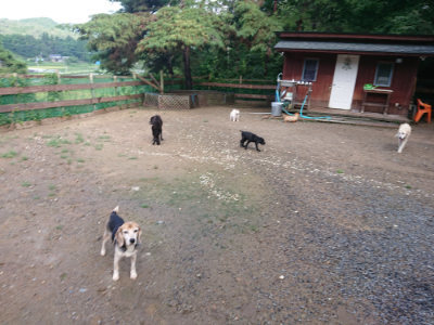 f:id:roukenhome-ann:20190824120136j:plain