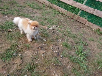 f:id:roukenhome-ann:20190824120249j:plain