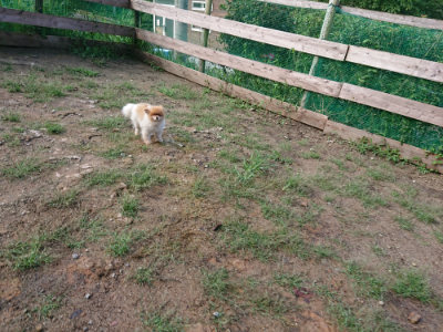 f:id:roukenhome-ann:20190824120316j:plain