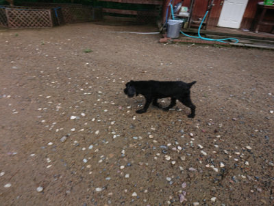 f:id:roukenhome-ann:20190824120424j:plain