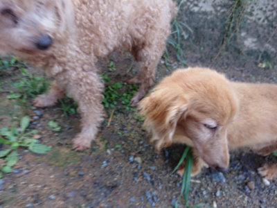 f:id:roukenhome-ann:20190824120525j:plain