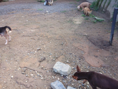 f:id:roukenhome-ann:20190824120537j:plain