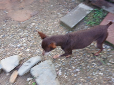 f:id:roukenhome-ann:20190824120605j:plain