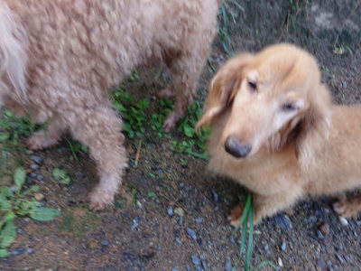 f:id:roukenhome-ann:20190824120610j:plain