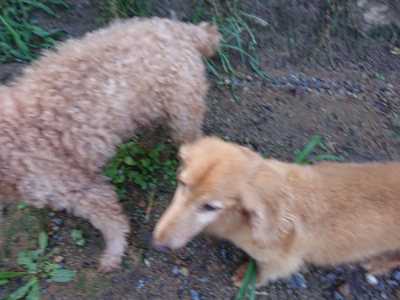 f:id:roukenhome-ann:20190824120638j:plain