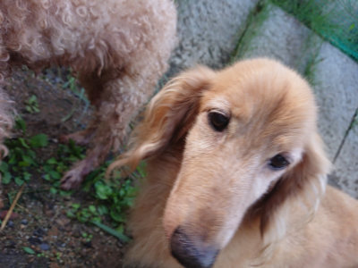 f:id:roukenhome-ann:20190824120702j:plain