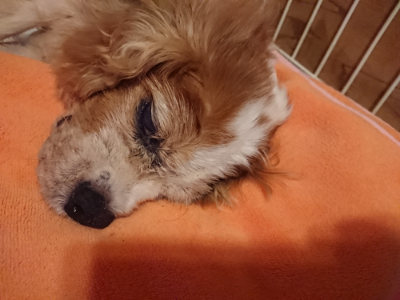 f:id:roukenhome-ann:20190824191203j:plain