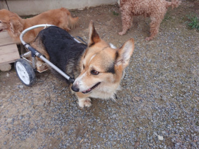f:id:roukenhome-ann:20190825085019j:plain