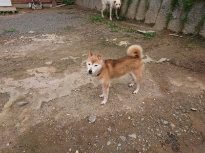 f:id:roukenhome-ann:20190825085116j:plain