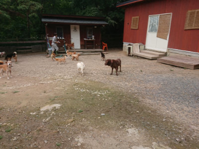 f:id:roukenhome-ann:20190825085137j:plain
