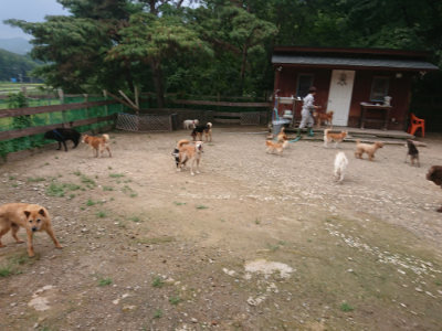f:id:roukenhome-ann:20190825085158j:plain