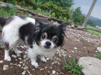 f:id:roukenhome-ann:20190825085248j:plain
