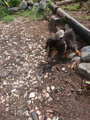 f:id:roukenhome-ann:20190825085428j:plain