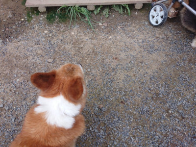 f:id:roukenhome-ann:20190825085440j:plain