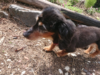 f:id:roukenhome-ann:20190825085454j:plain