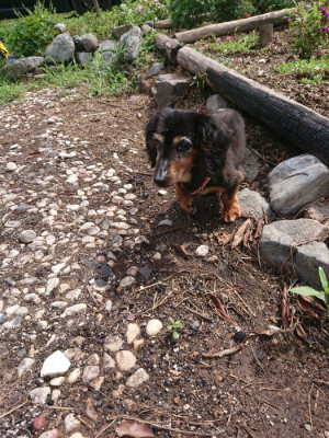 f:id:roukenhome-ann:20190825085510j:plain